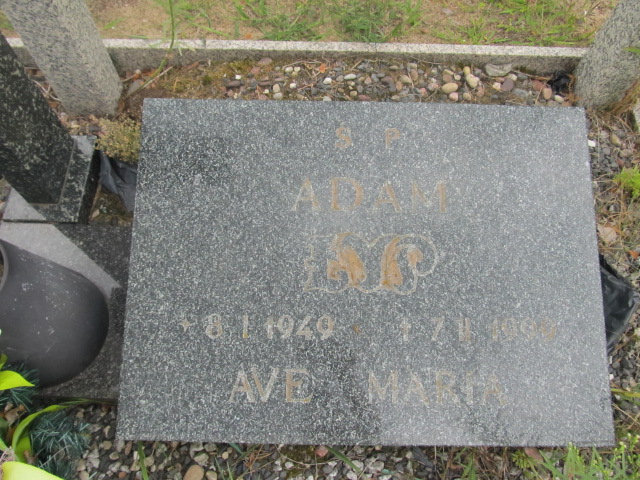 Adam Łyp 1949 Goleniów - Grobonet - Wyszukiwarka osób pochowanych