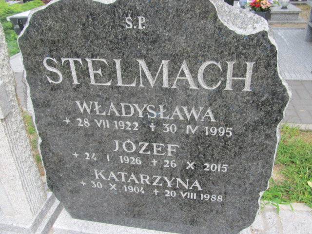 Józef Stelmach 1926 Goleniów - Grobonet - Wyszukiwarka osób pochowanych