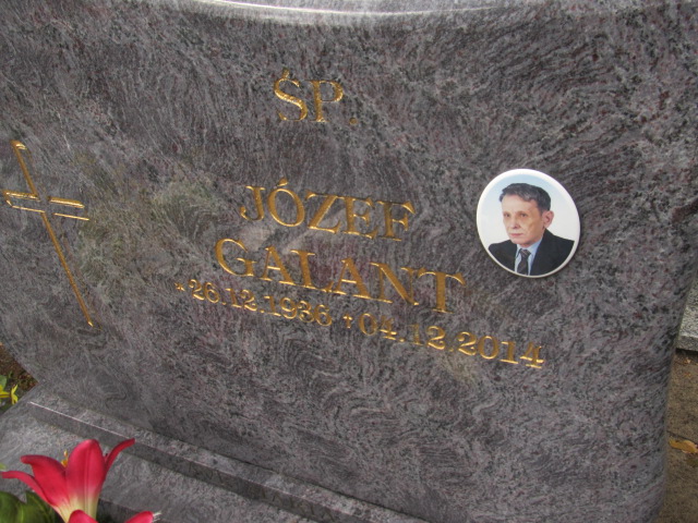 Stefan Galant 1936 Goleniów - Grobonet - Wyszukiwarka osób pochowanych