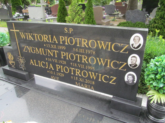 Alicja Piotrowicz 1929 Goleniów - Grobonet - Wyszukiwarka osób pochowanych