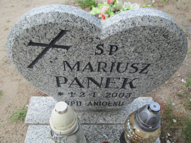 Mariusz Panek-dziecko 2003 Goleniów - Grobonet - Wyszukiwarka osób pochowanych