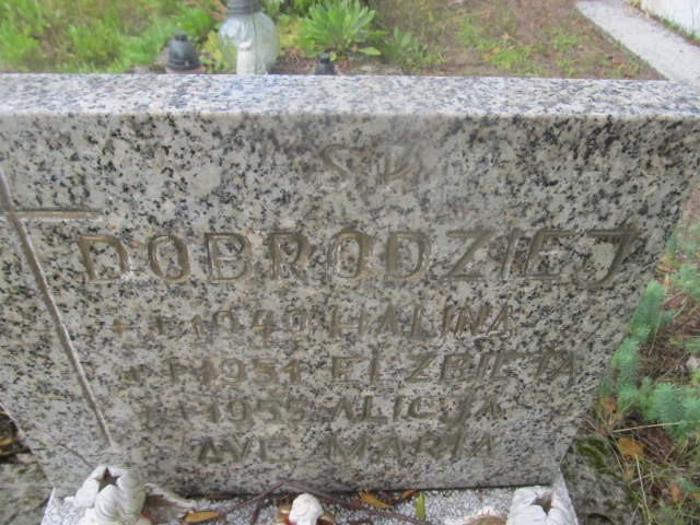 Halina Dobrodziej-dziecko Goleniów - Grobonet - Wyszukiwarka osób pochowanych