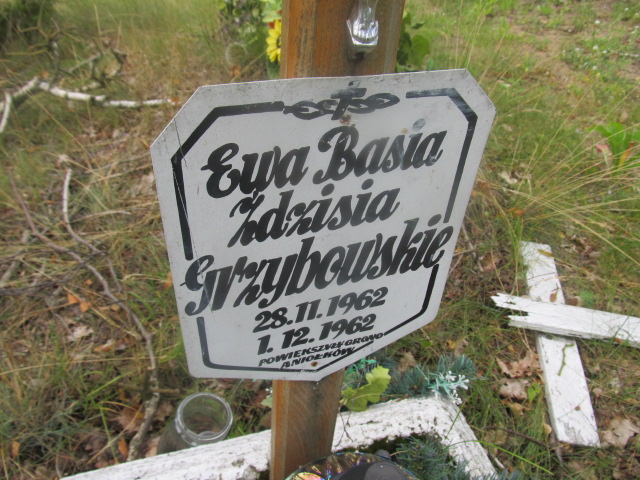 Barbara Grzybowska-dziecko 1962 Goleniów - Grobonet - Wyszukiwarka osób pochowanych