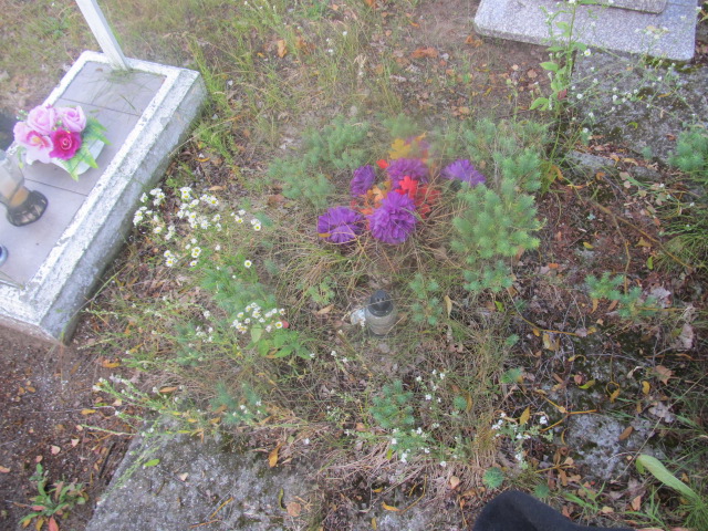  NN Goleniów - Grobonet - Wyszukiwarka osób pochowanych