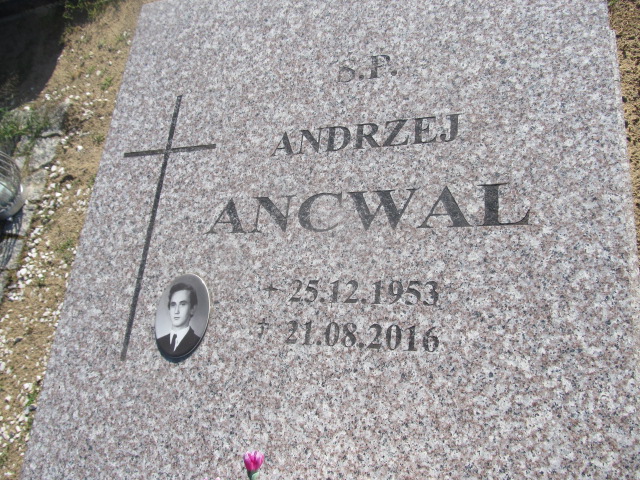 Andrzej Ancwal 1953 Goleniów - Grobonet - Wyszukiwarka osób pochowanych