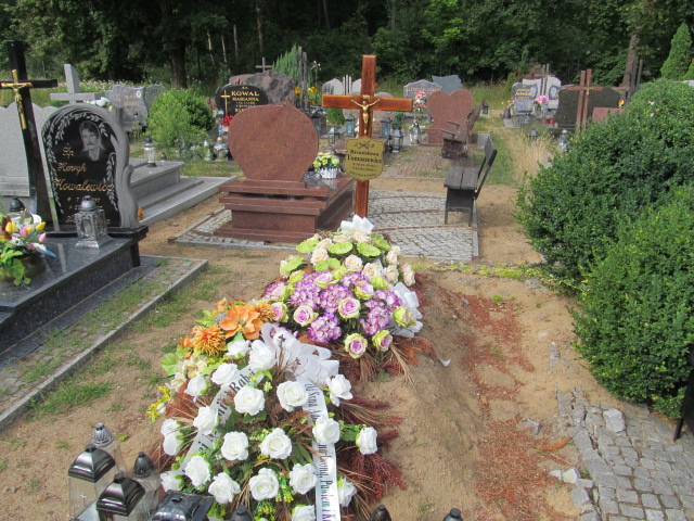 Grób Alfons Tomaszewicz