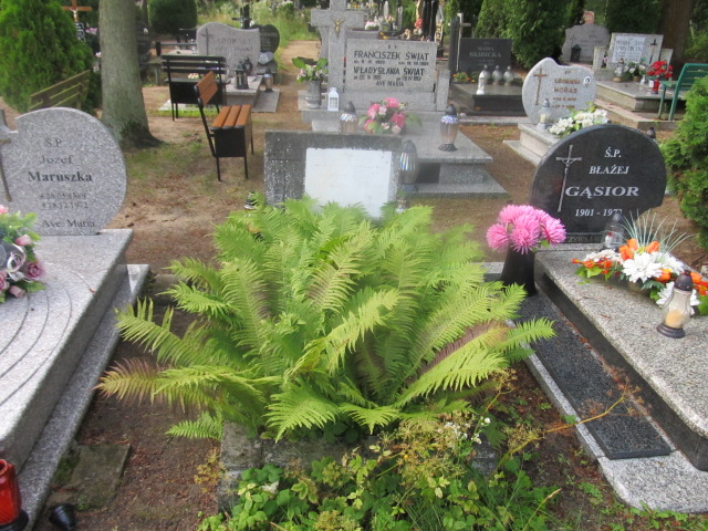 Grób Teodozja Wasińska